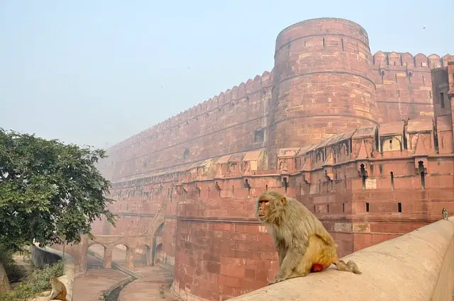 All about Agra fort | मुग़ल साम्राज्य का RBI था आगरा का किला