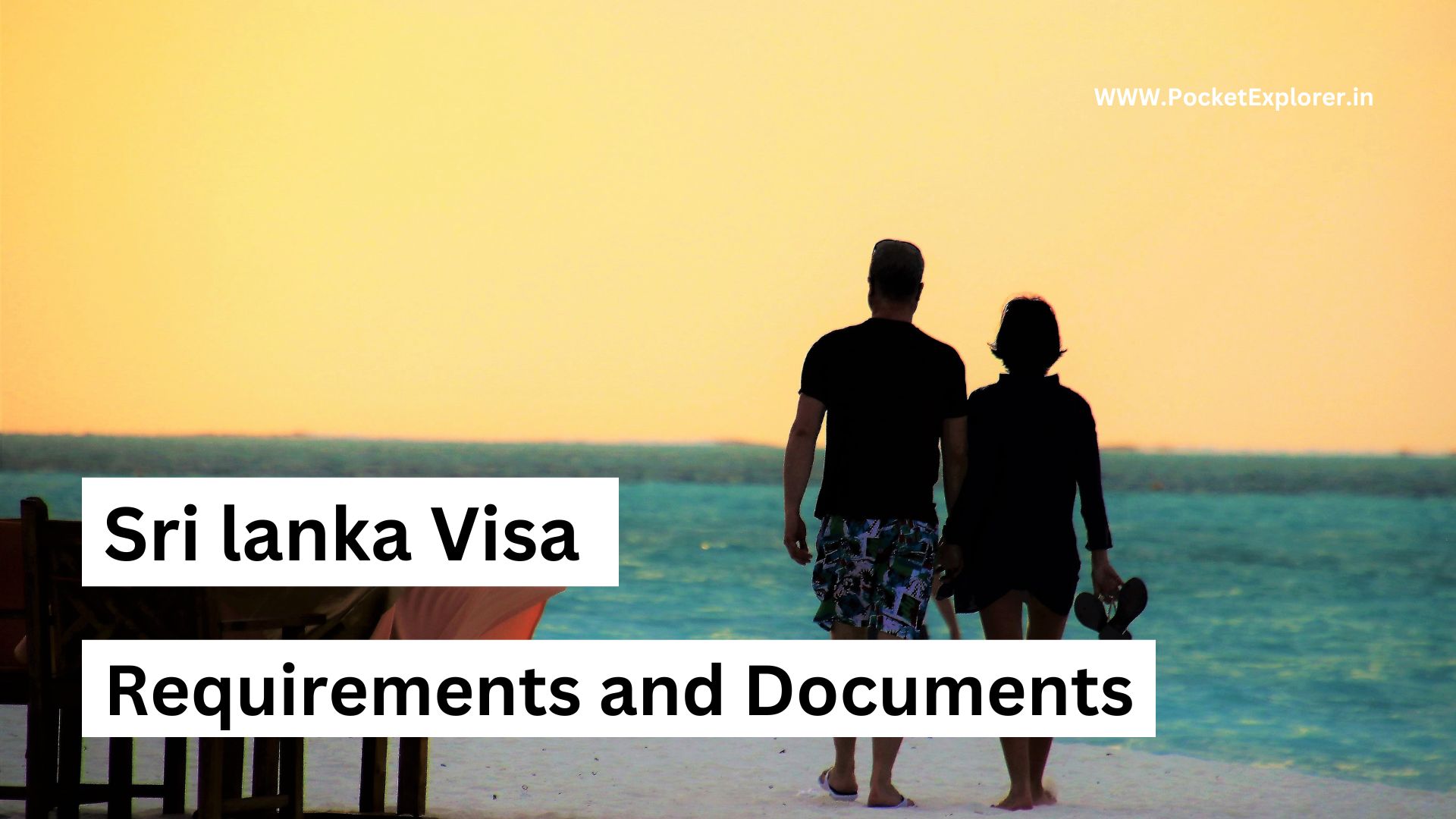 श्रीलंका वीसा क्या है और इसे कैसे प्राप्त करें ? Sri lanka visa