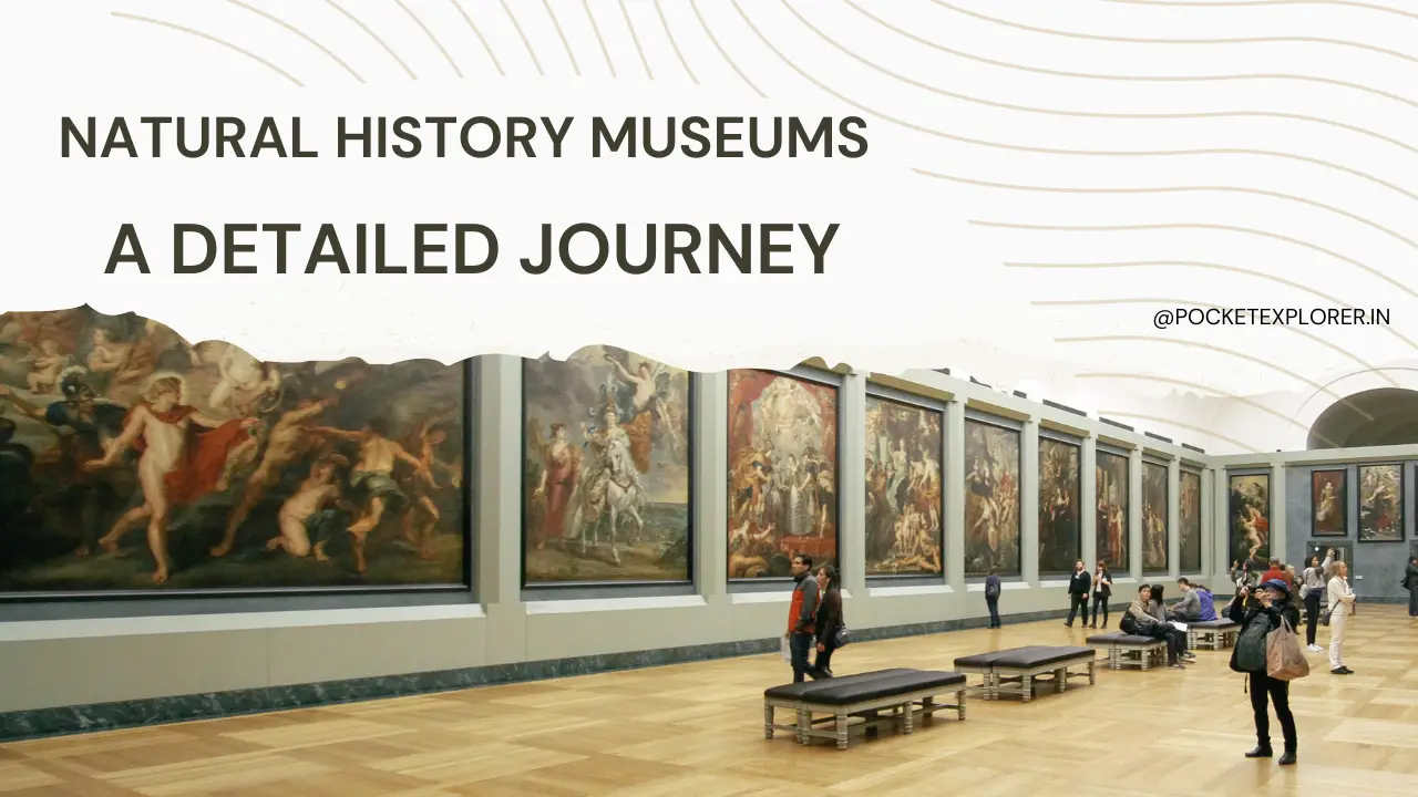 Natural History Museums: A detailed journey